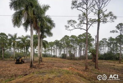 Restored property after invasive plant removal